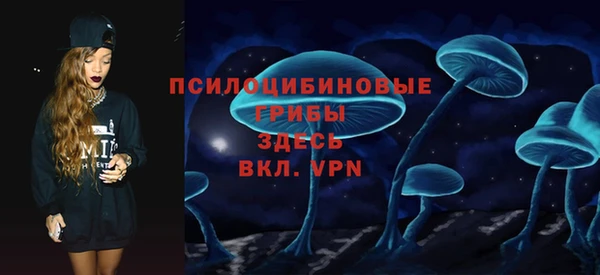 трава Бикин
