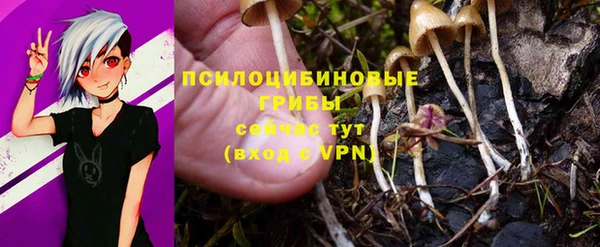 таблы Гусиноозёрск