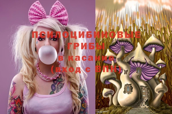 метамфетамин Гусев